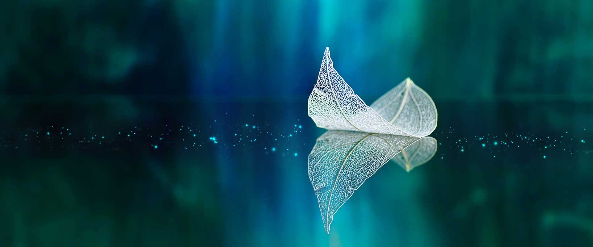 shutterstock_577160911